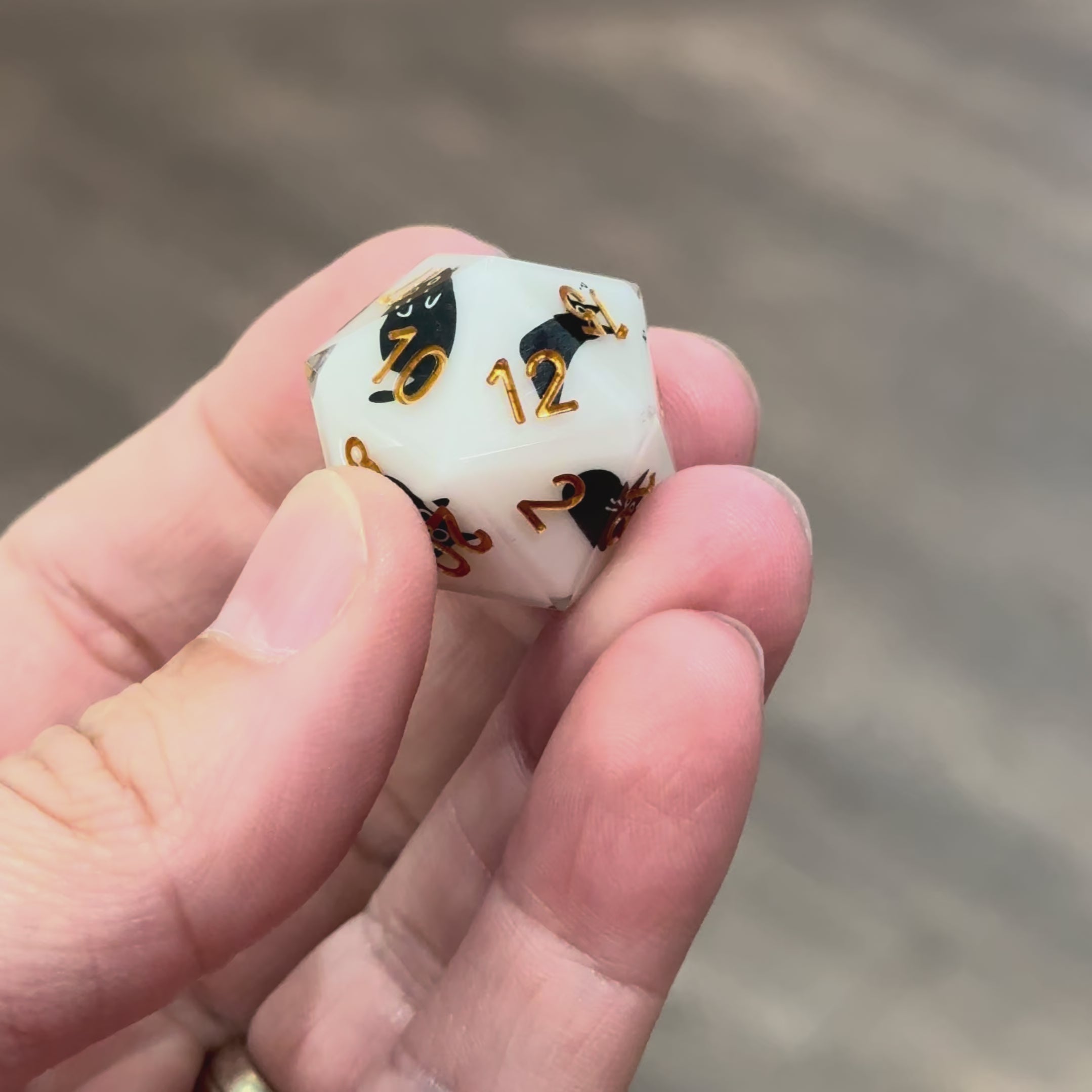 Familiar Whiskers – Black Cat Dice Set