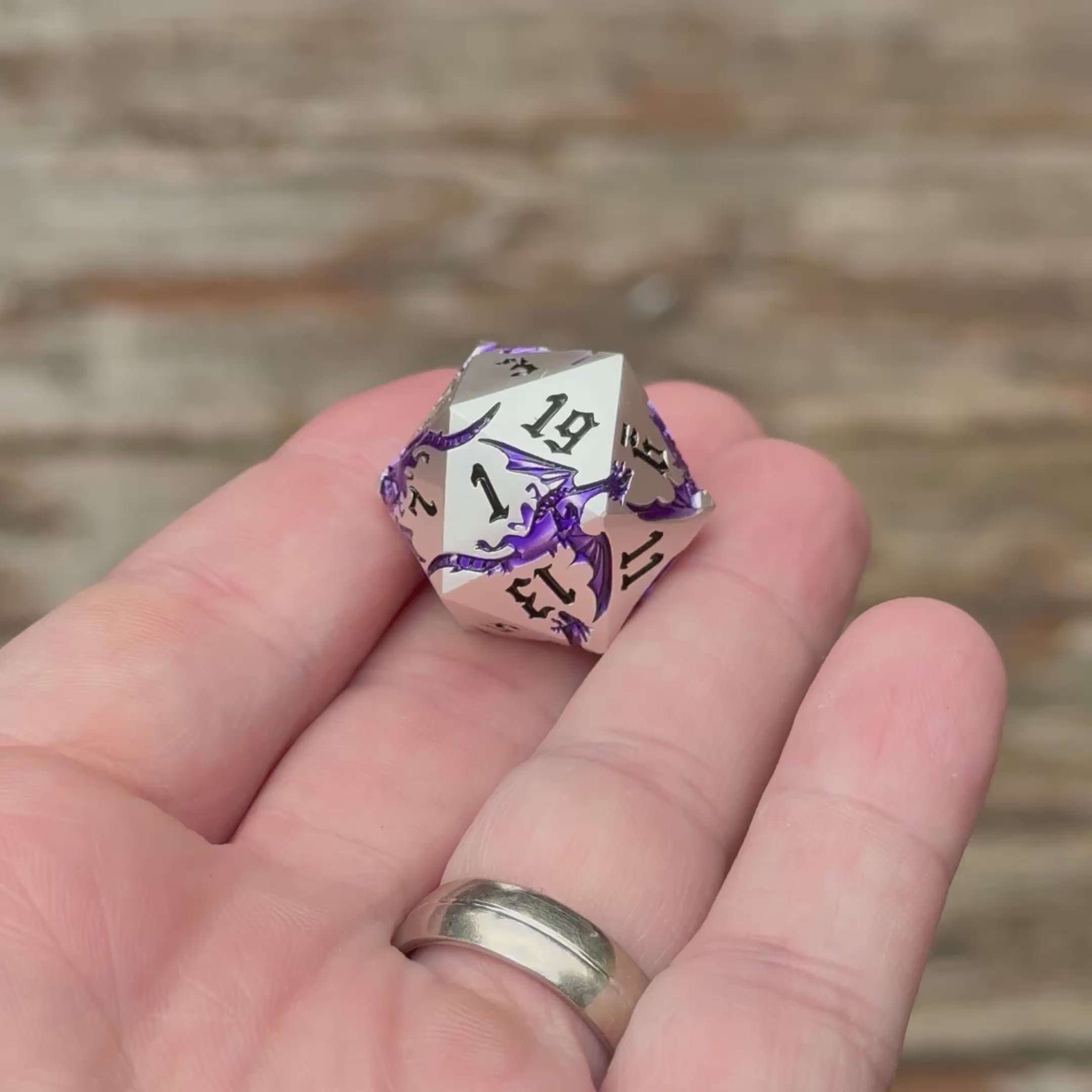 Shadowwyrm Sigil – Metal Dice Set